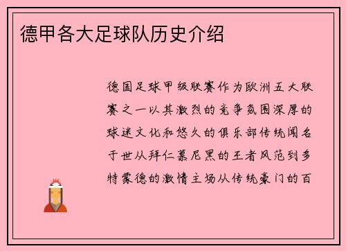 德甲各大足球队历史介绍